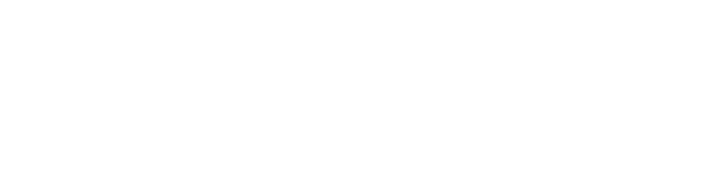 ES_Financiado_por_la_Unión_Europea_RGB_WHITE_Outline